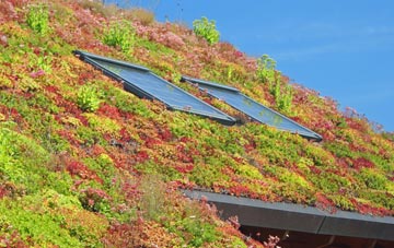Batchley living roof systems